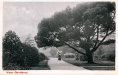 Kew Gardens,park-countryside